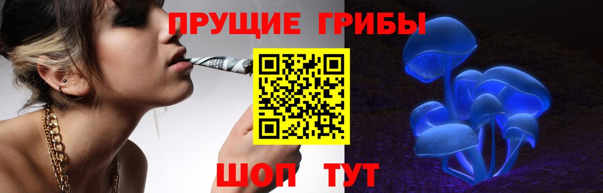 Магадан  Галлюциногенные грибы мицелий  наркотики  Вход с VPN  Псилоцибиновые грибы мухоморы 
